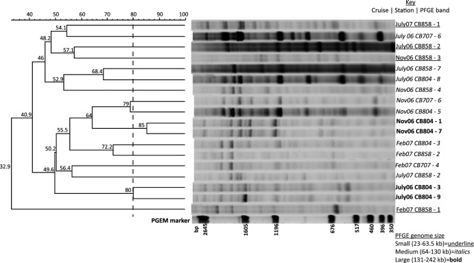 Fig 5