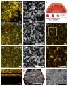 Fig. 4