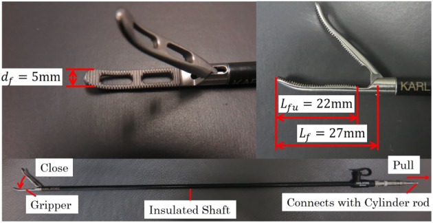 rcs2051-fig-0003