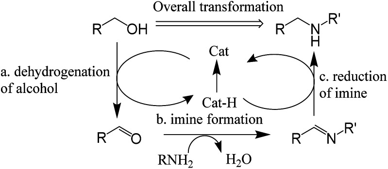 Scheme 6