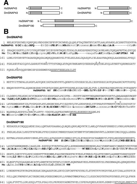 FIG.2.