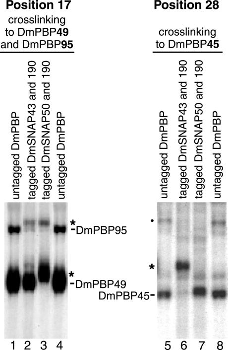 FIG. 6.