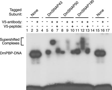 FIG. 5.