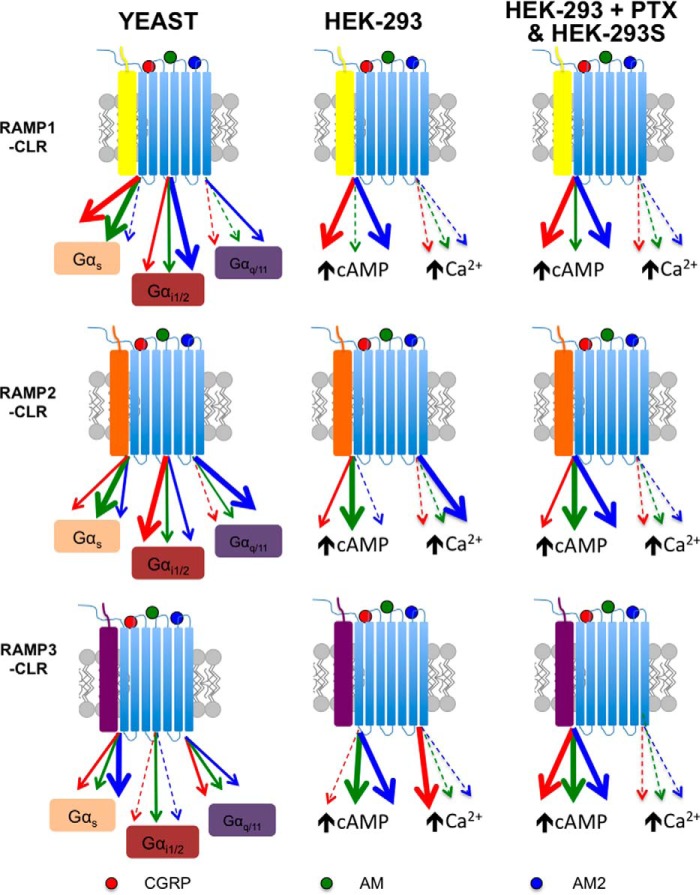 FIGURE 13.