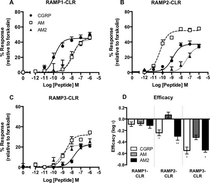 FIGURE 2.