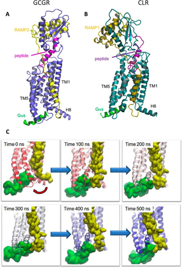 FIGURE 10.