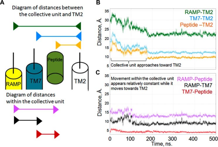 FIGURE 11.