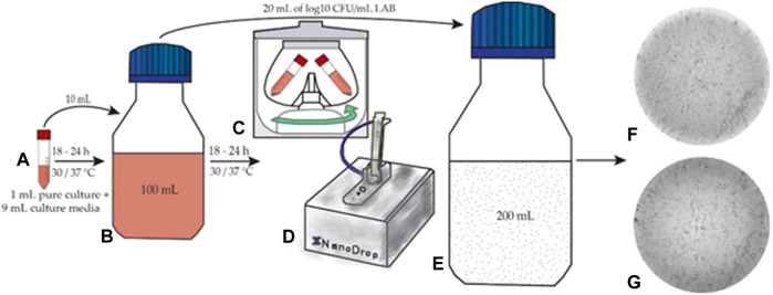 FIGURE 1