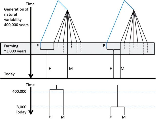 Fig. 9.