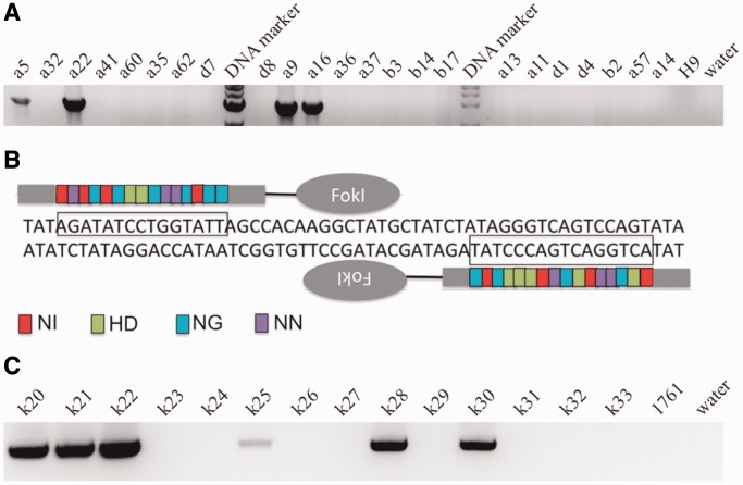 Figure 2.