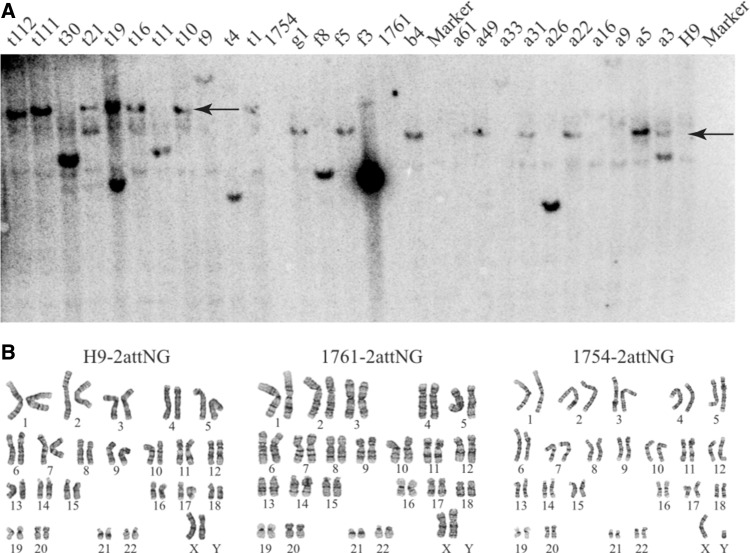 Figure 3.