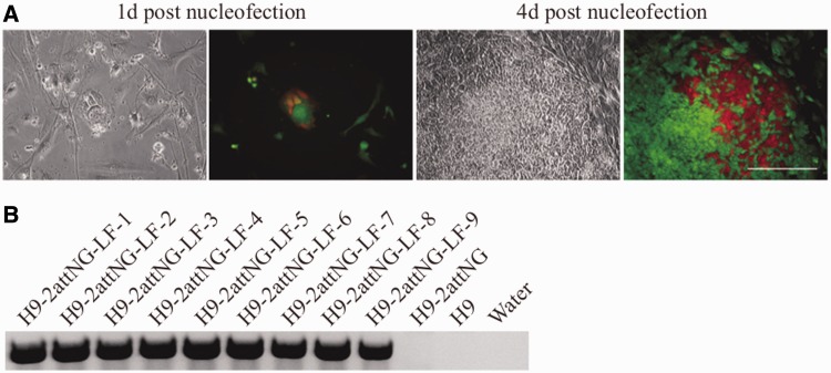 Figure 5.