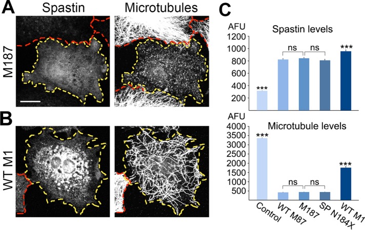 FIGURE 3: