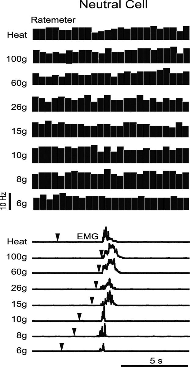 Figure 11.