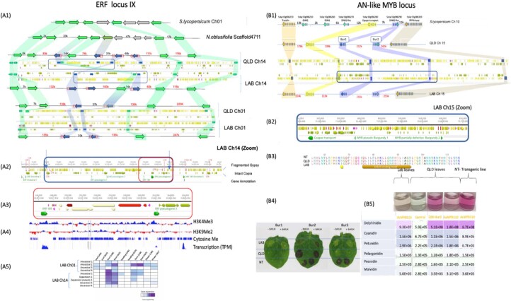 Extended Data Fig. 8