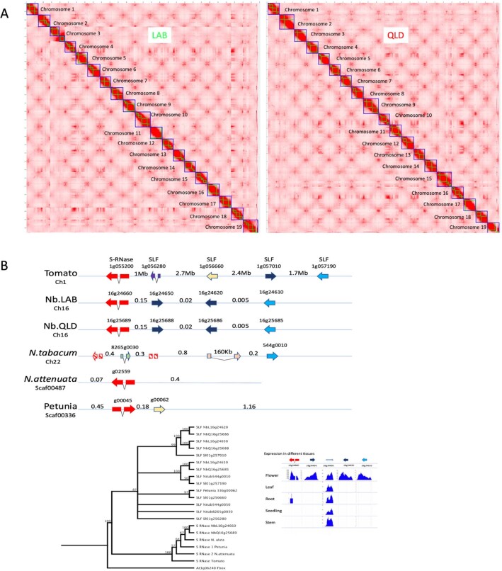 Extended Data Fig. 4