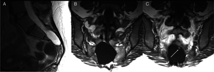 Fig. 9