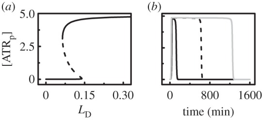 Figure 3.