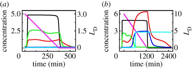 Figure 2.