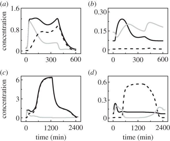 Figure 4.