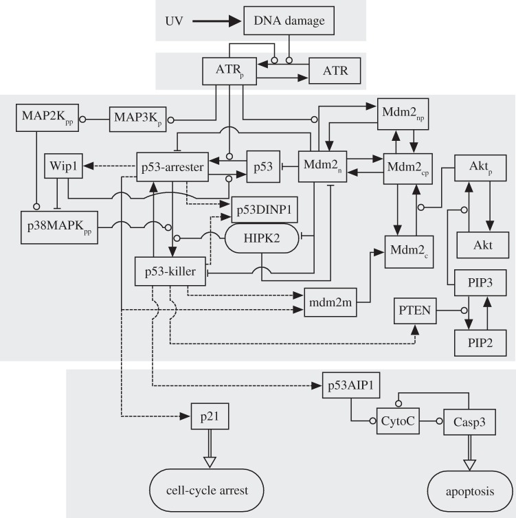 Figure 1.