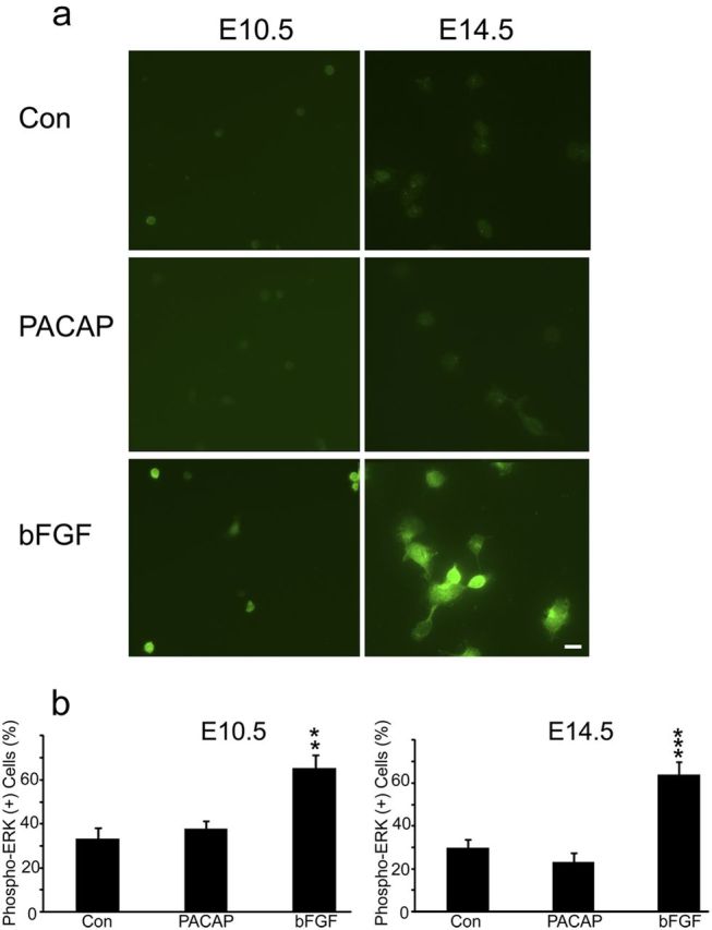 Figure 10.