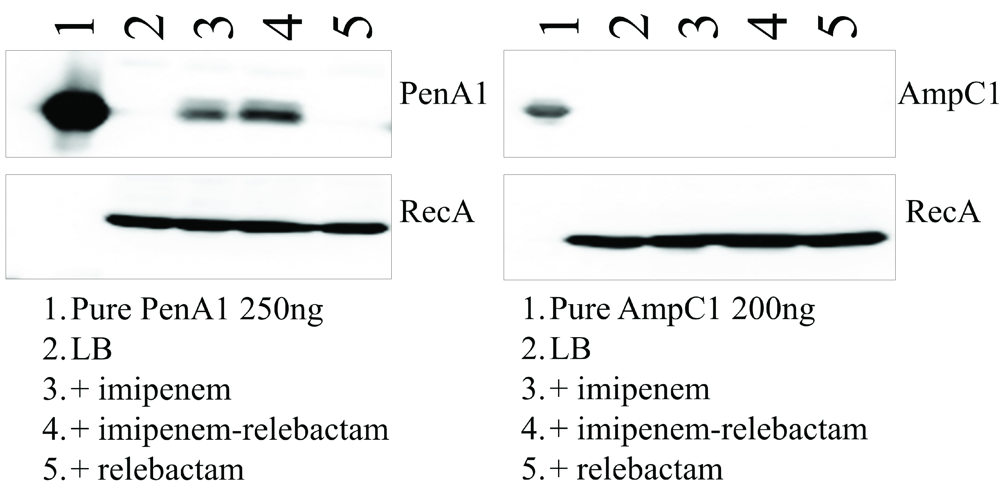 FIG 5