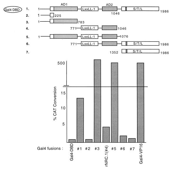 FIG. 12