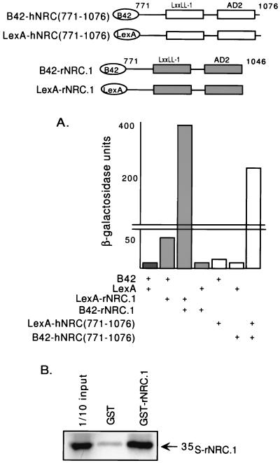 FIG. 6