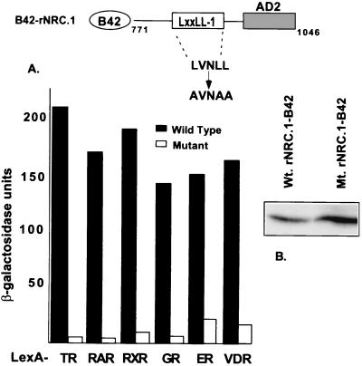 FIG. 5