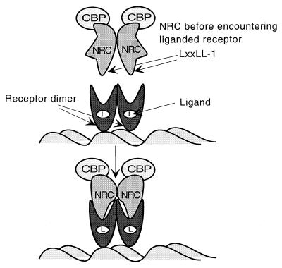 FIG. 15