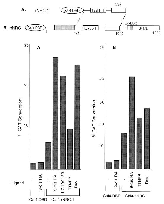 FIG. 9