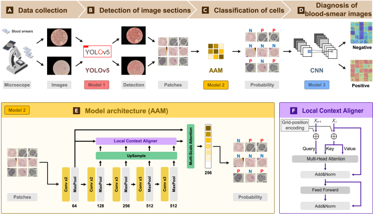 Figure 1