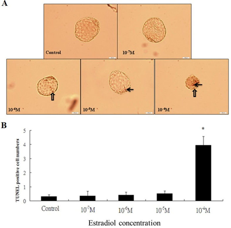 Fig. 4