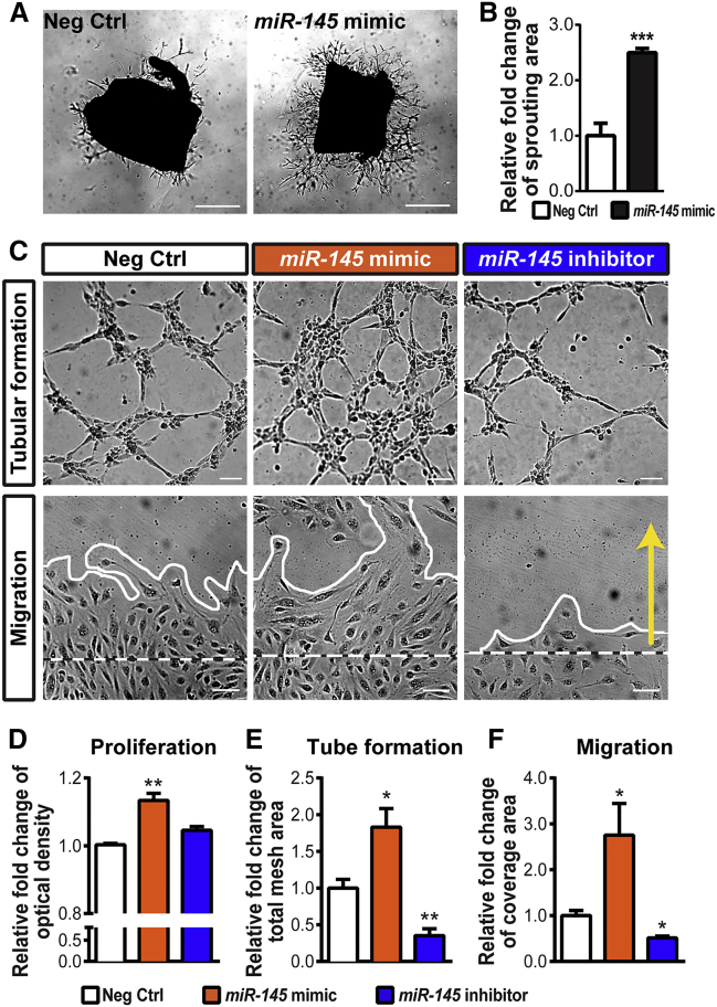 Figure 3