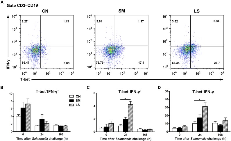 FIGURE 4