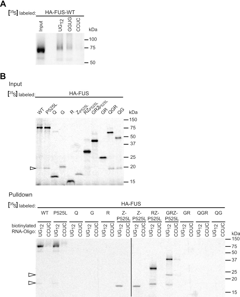 FIGURE 3.