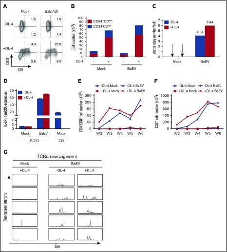 Figure 6.