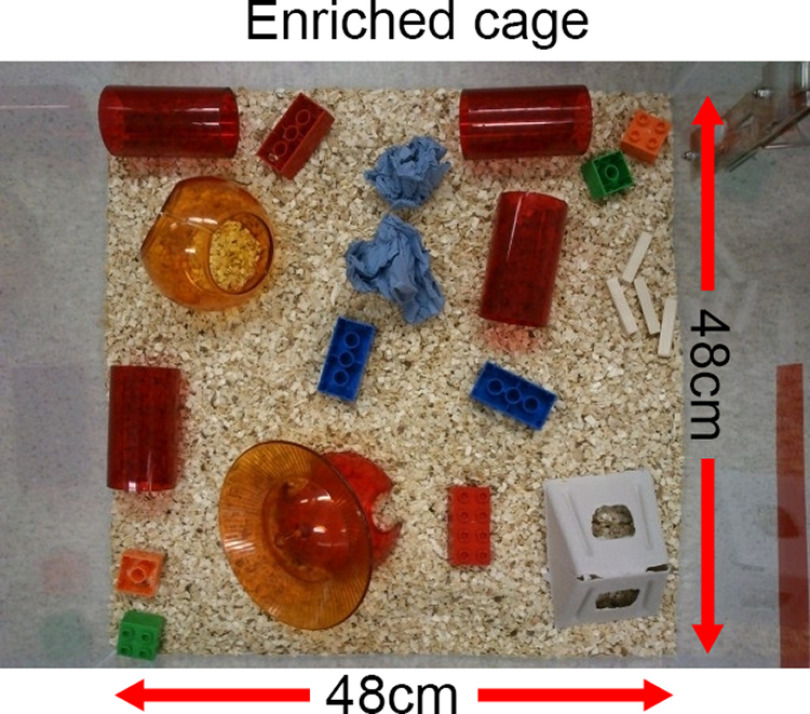 Figure 2.