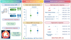 Graphical abstract