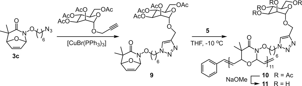 Scheme 3