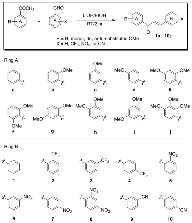 Scheme 1