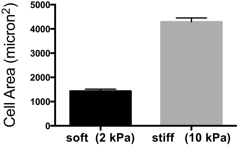 Fig. S1.