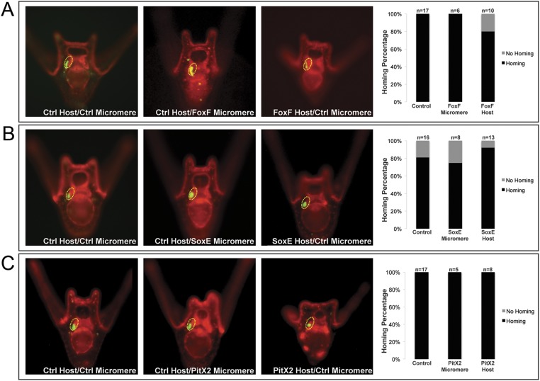 Figure 5—figure supplement 1.