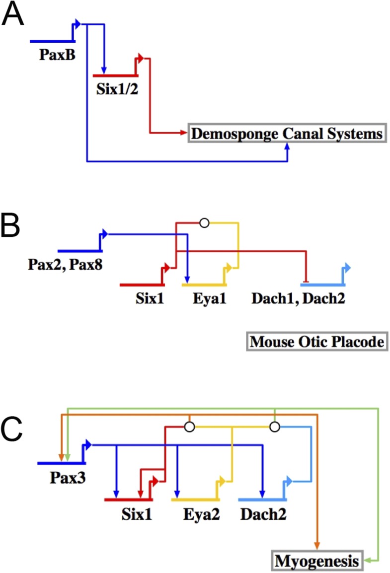 Figure 8—figure supplement 1.