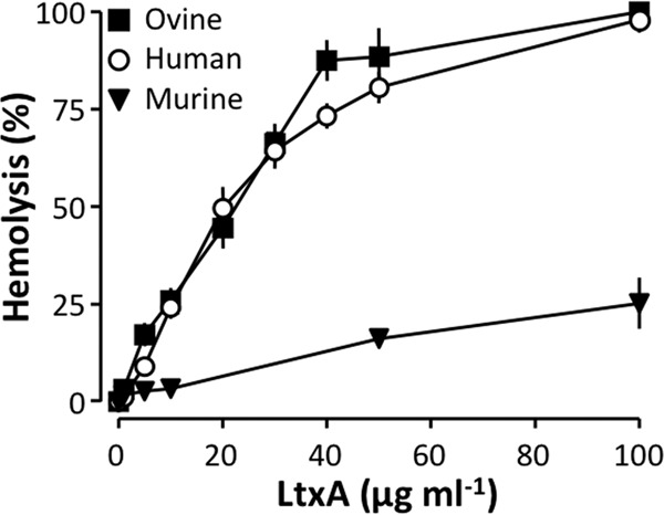 FIG 1