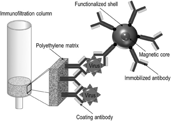 FIG 2