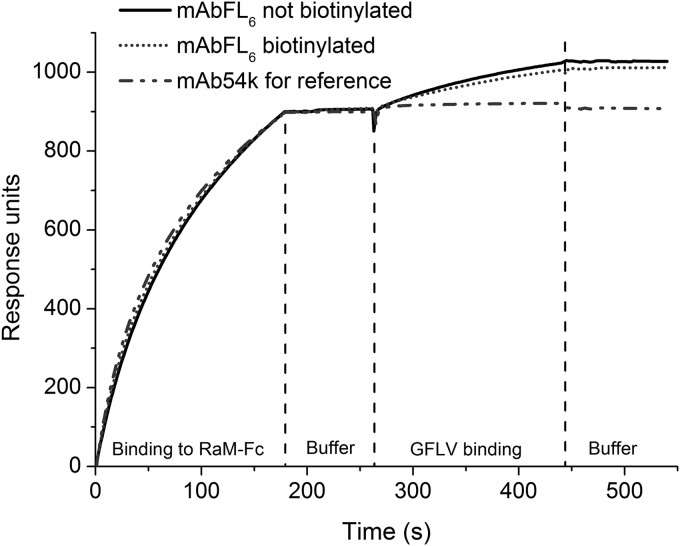 FIG 3