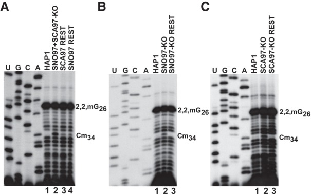 Figure 4.