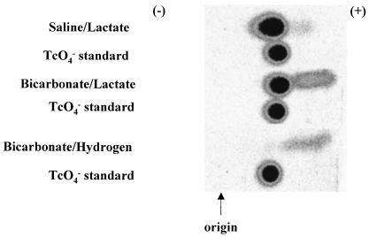 FIG. 7